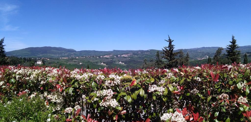 Residence Fiesole Bagian luar foto