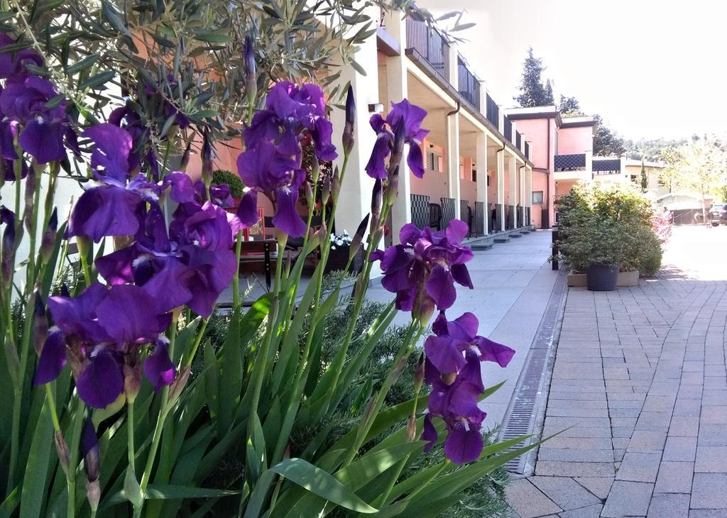 Residence Fiesole Bagian luar foto